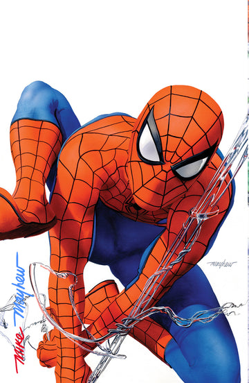 AMAZING SPIDER-MAN #1 (2025) Mike Mayhew Studio Variant Cover B Virgin FULL DUO SIGNED with COA