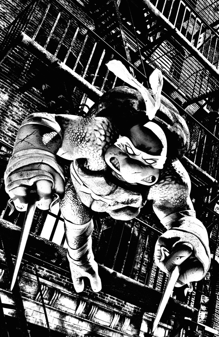 TEENAGE MUTANT NINJA TURTLES #1-4 Mike Mayhew Studio Variant Cover C B&W Variant Set Raw