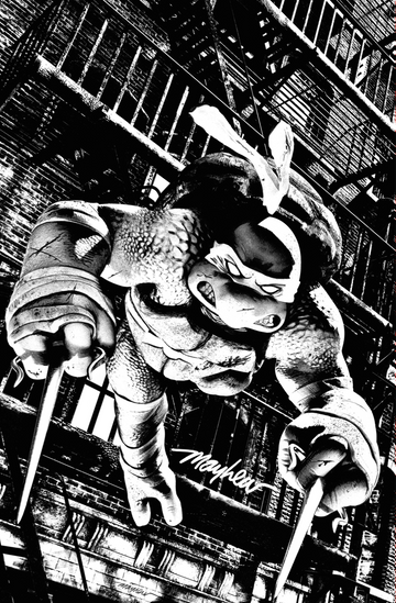 TEENAGE MUTANT NINJA TURTLES #1-4 Mike Mayhew Studio Variant Cover C B&W Variant Set Signed with COA