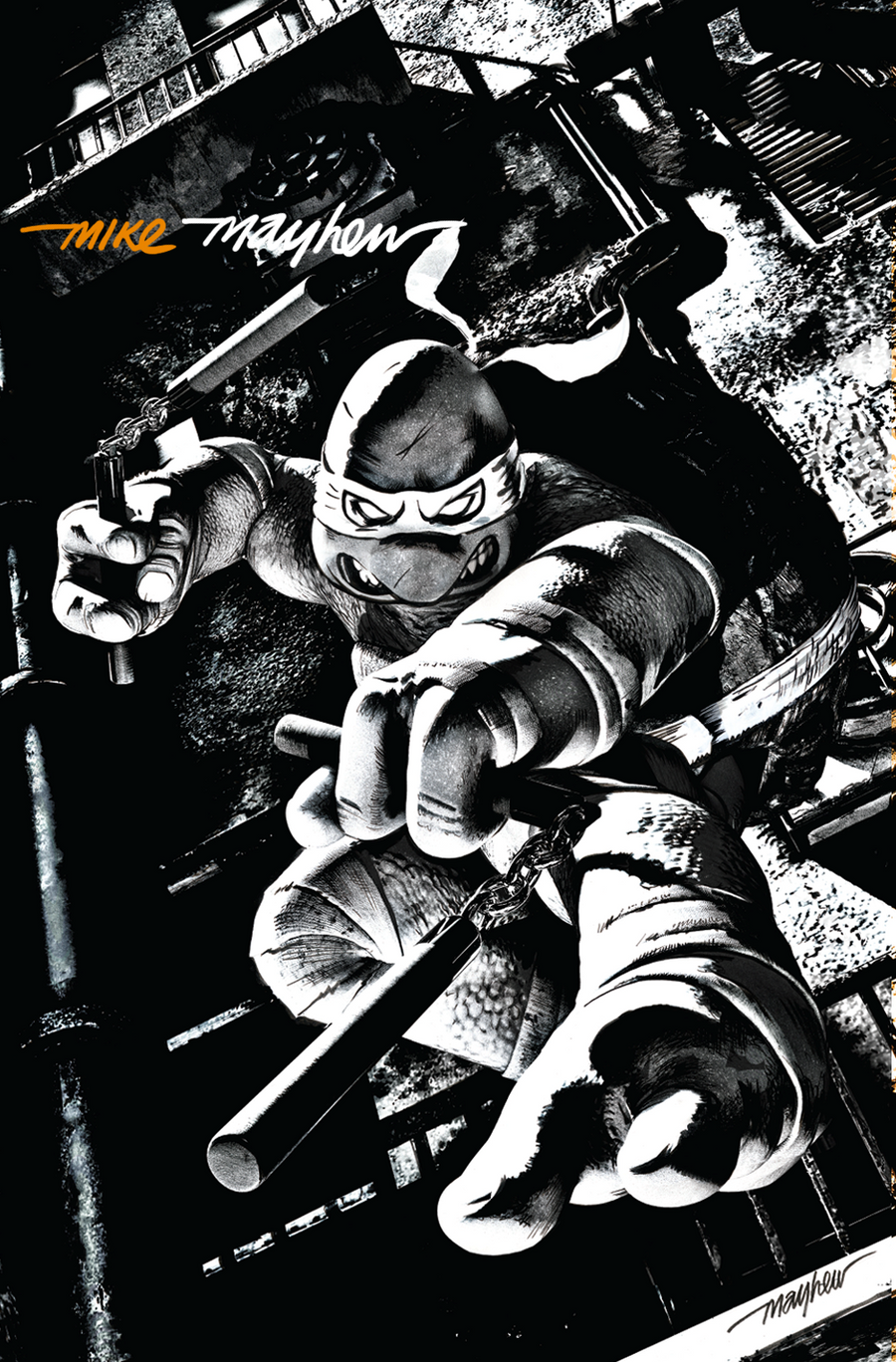 TEENAGE MUTANT NINJA TURTLES #1-4 Mike Mayhew Studio Variant Cover C B&W Variant Set Full Duo with COA