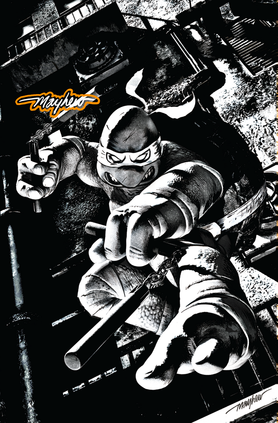TEENAGE MUTANT NINJA TURTLES #1-4 Mike Mayhew Studio Variant Cover C B&W Variant Set Glow with COA