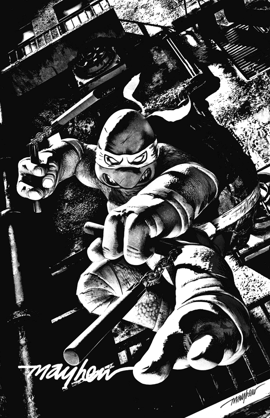 TEENAGE MUTANT NINJA TURTLES #1-4 Mike Mayhew Studio Variant Cover C B&W Variant Set Signed with COA